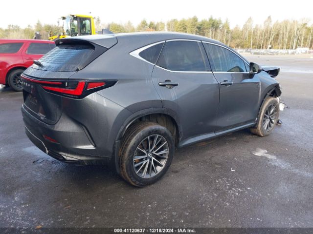 Photo 3 VIN: 2T2AGCEZXNC015235 - LEXUS NX 