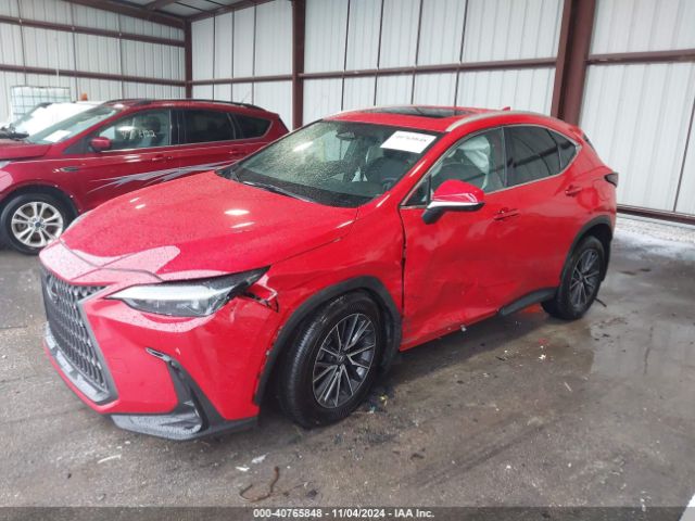 Photo 1 VIN: 2T2AGCEZXRC048905 - LEXUS NX 