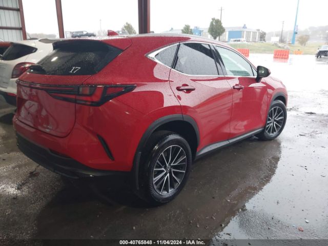 Photo 3 VIN: 2T2AGCEZXRC048905 - LEXUS NX 