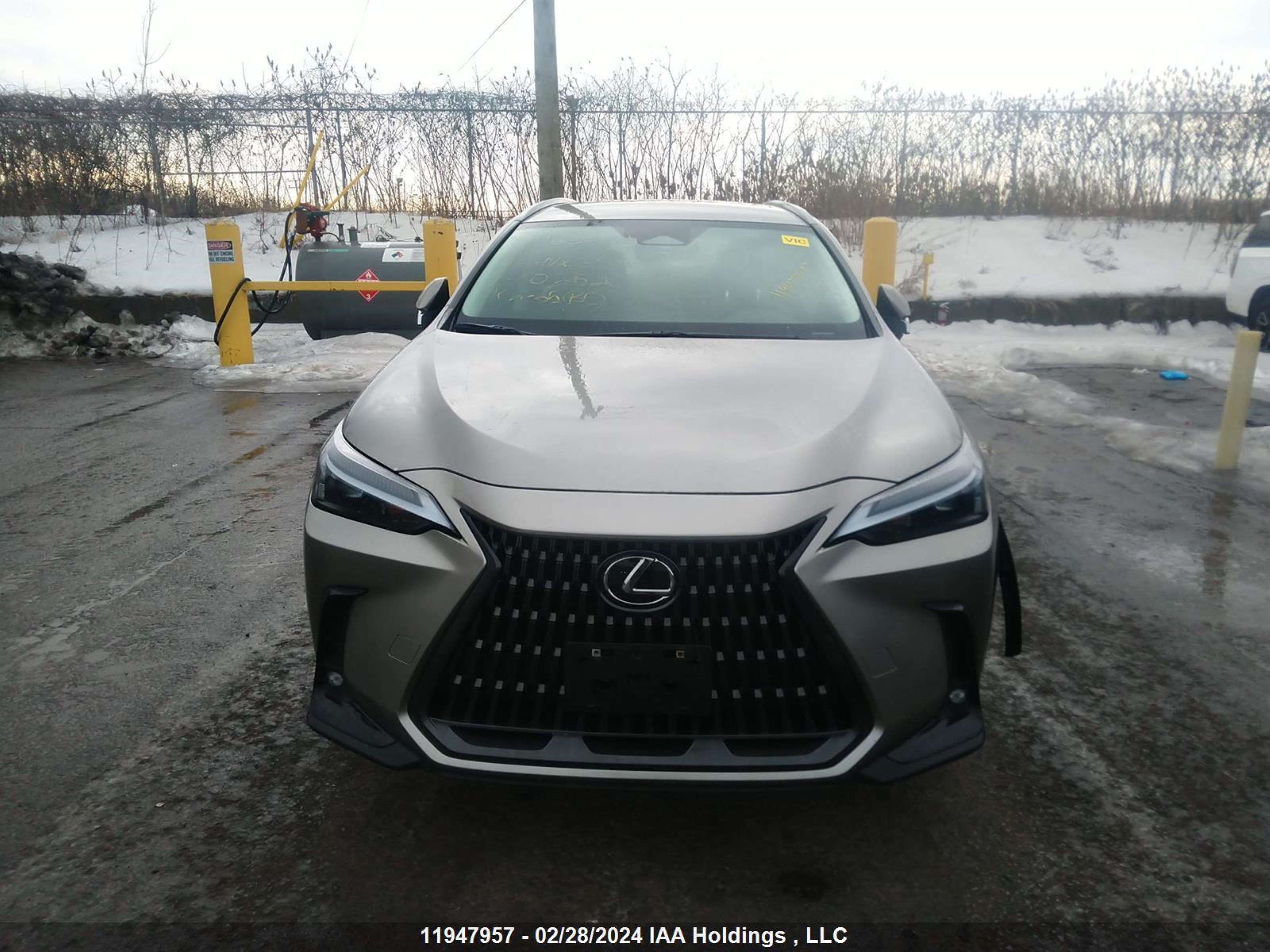 Photo 11 VIN: 2T2AKCEZ1NC002520 - LEXUS NX 