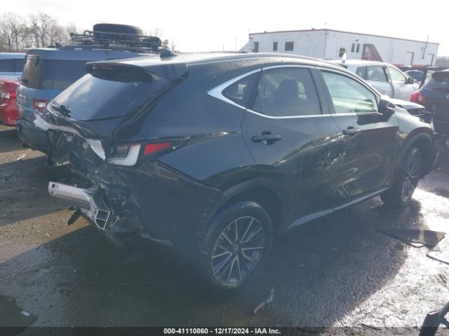 Photo 3 VIN: 2T2AKCEZ1RC029383 - LEXUS NX 