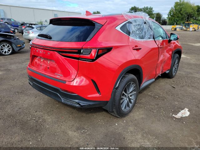 Photo 3 VIN: 2T2AKCEZ2PC015893 - LEXUS NX 