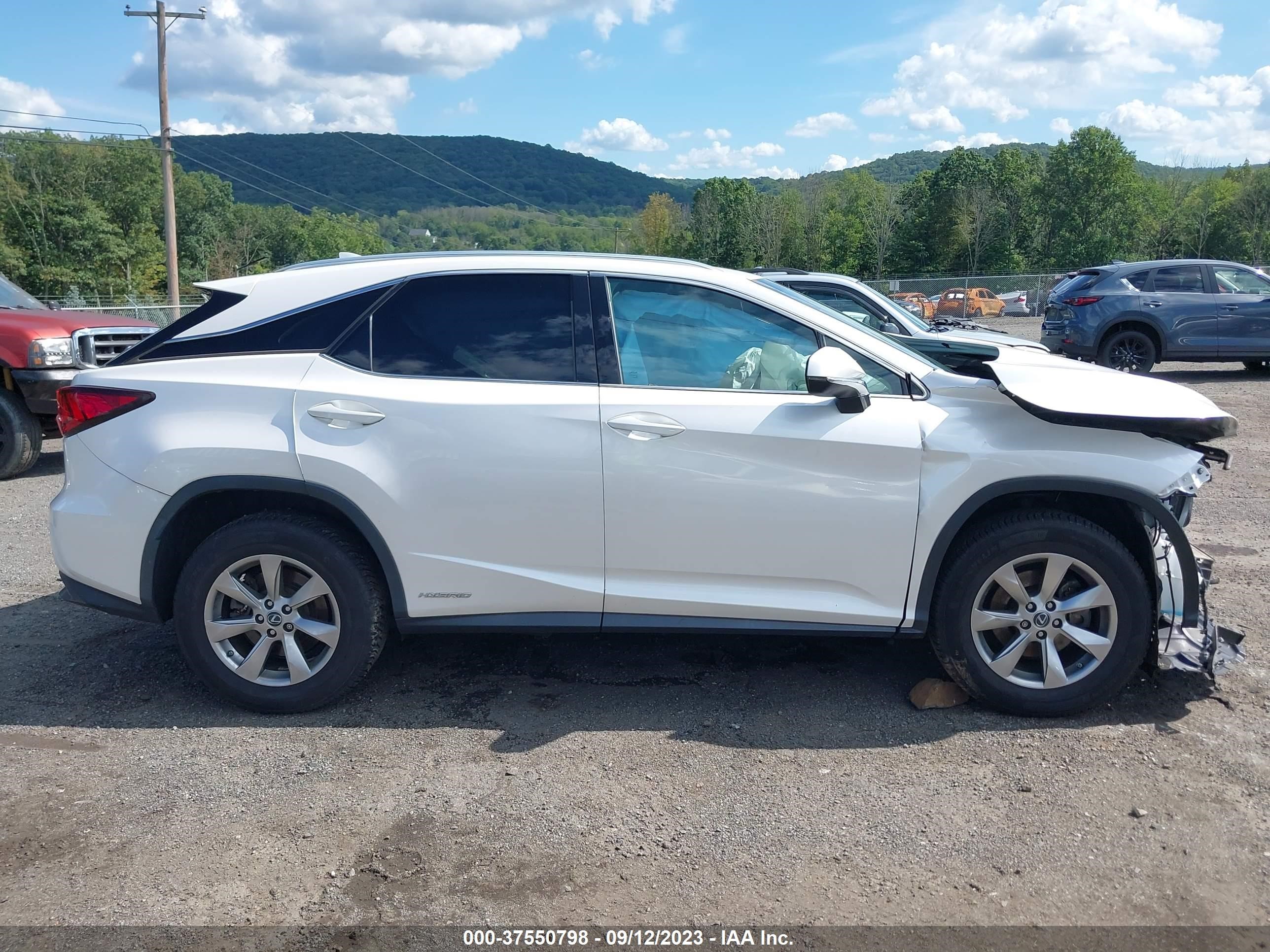 Photo 12 VIN: 2T2BGMCA1JC024746 - LEXUS RX 