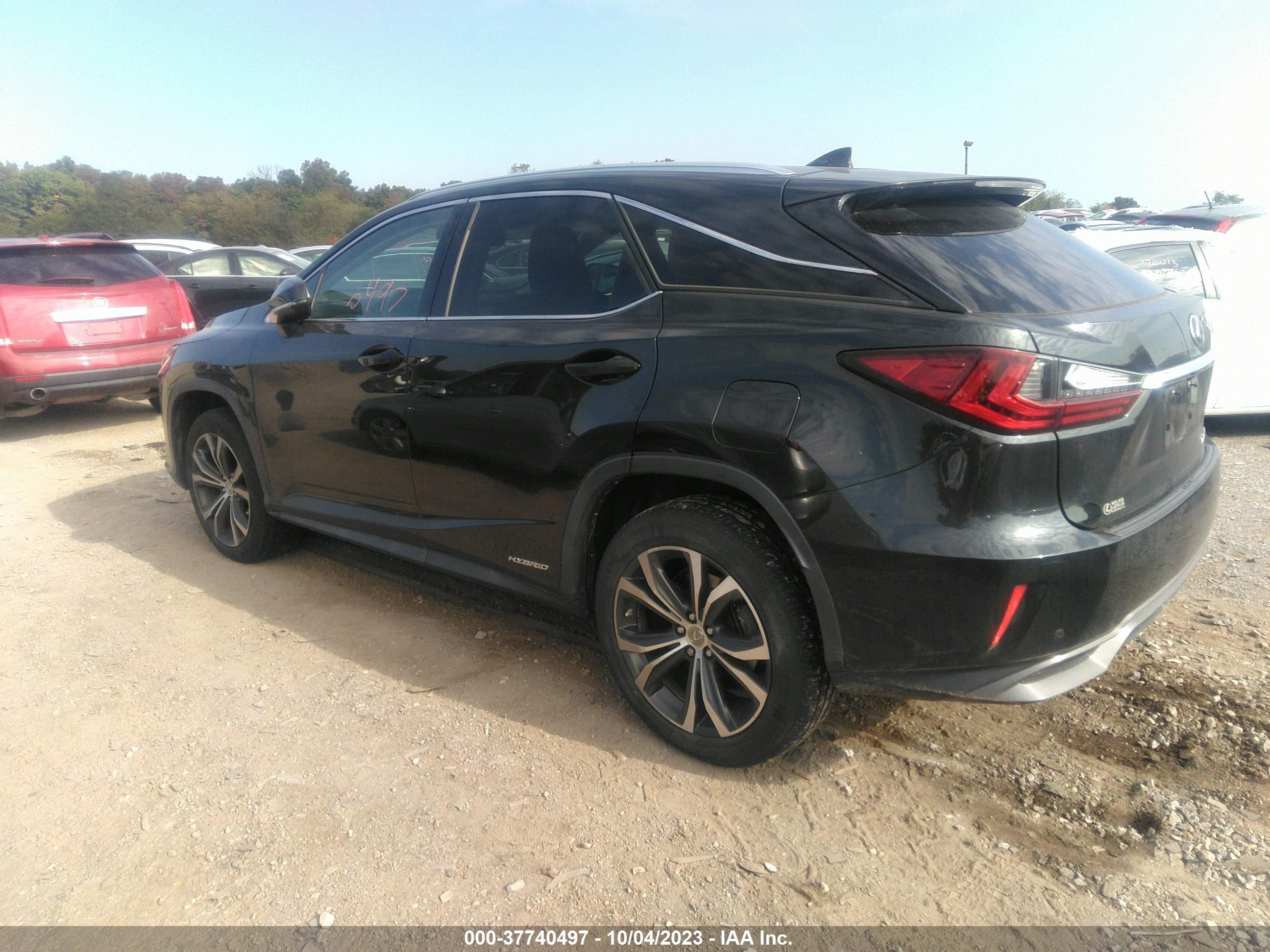 Photo 13 VIN: 2T2BGMCA8HC011924 - LEXUS RX 