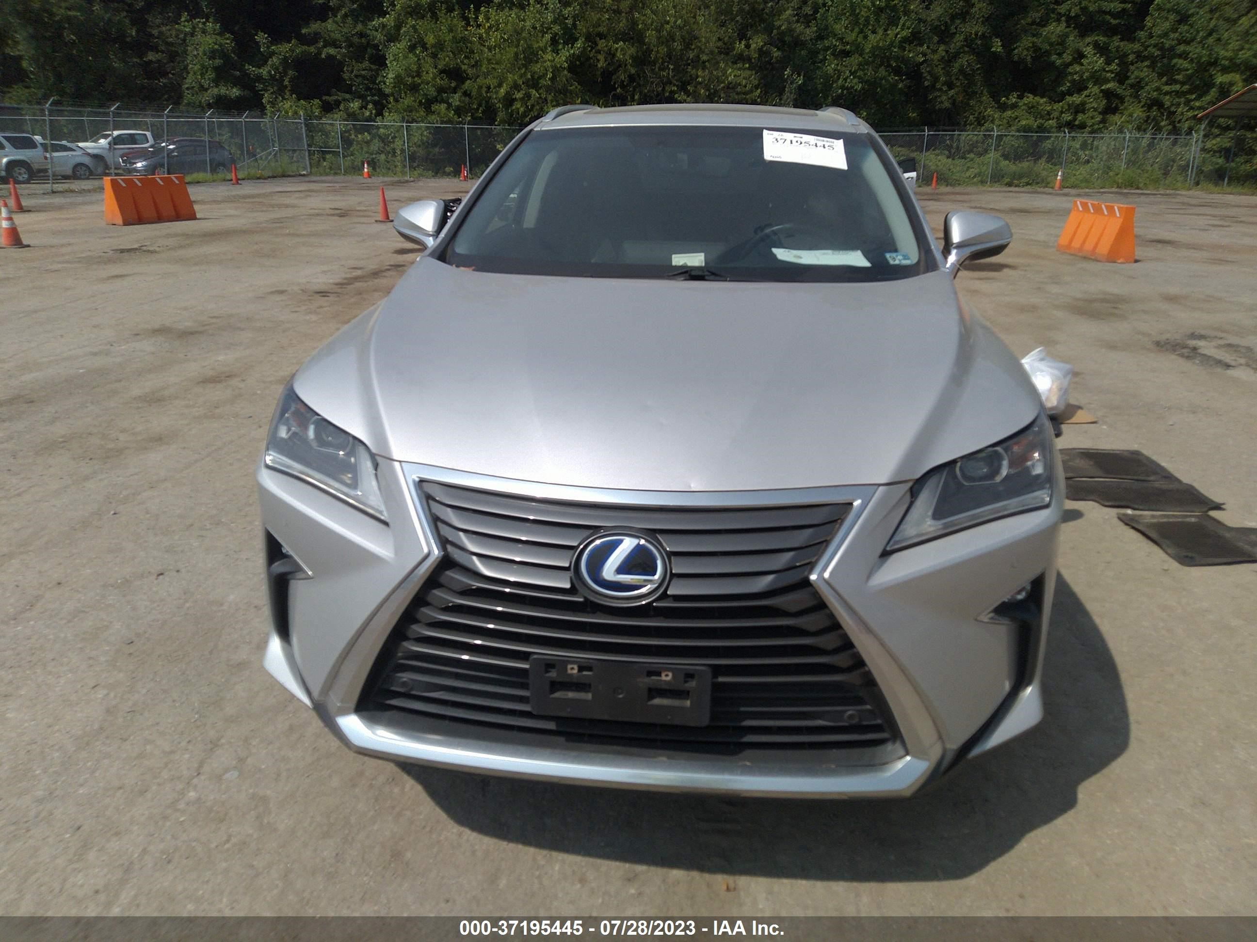 Photo 10 VIN: 2T2BGMCAXGC002656 - LEXUS RX 