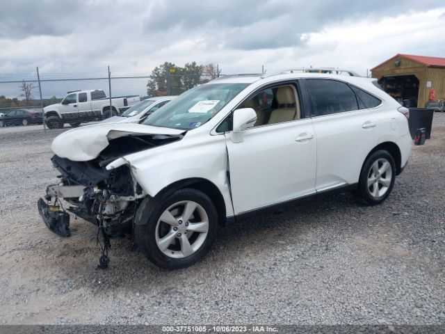 Photo 1 VIN: 2T2BK1BA0BC116804 - LEXUS RX 350 