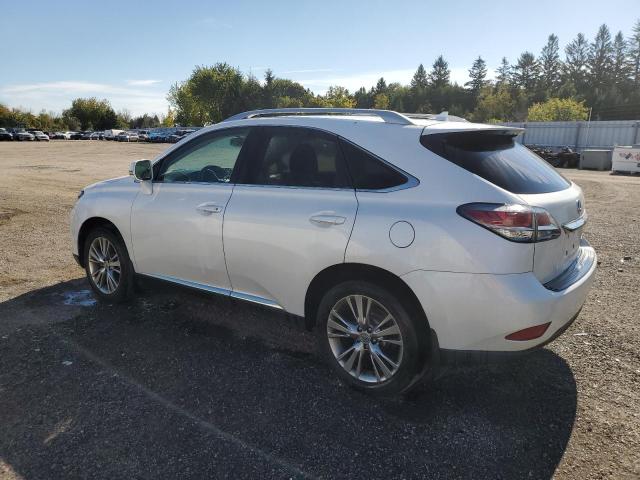 Photo 1 VIN: 2T2BK1BA0DC163589 - LEXUS RX 350 BAS 