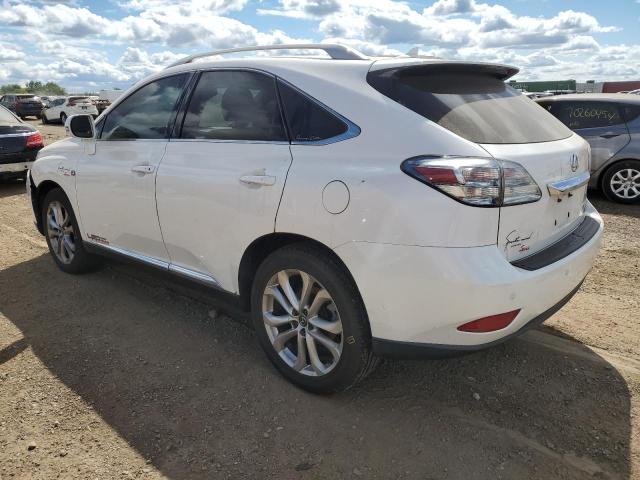 Photo 1 VIN: 2T2BK1BA1BC096983 - LEXUS RX 350 