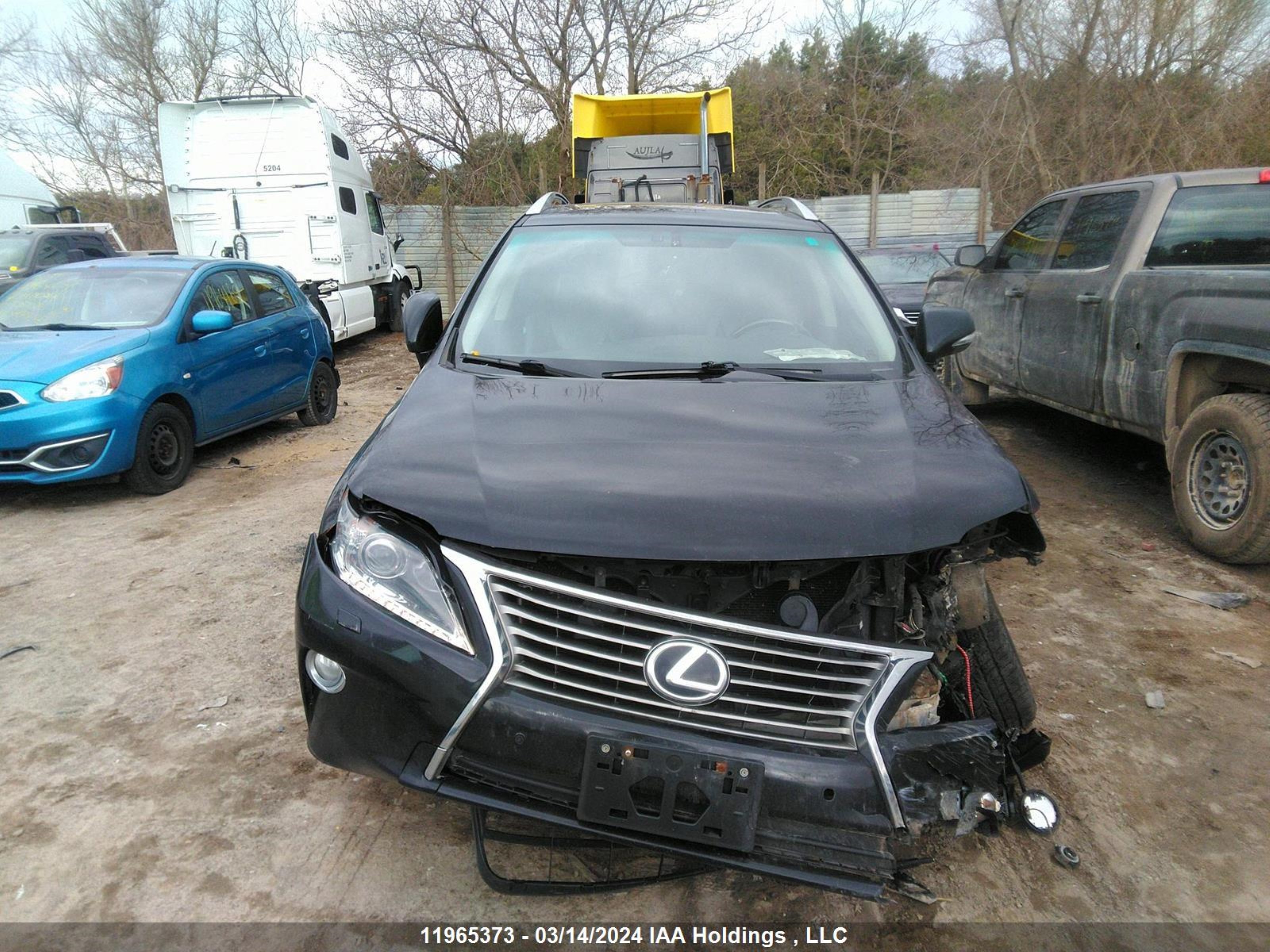 Photo 12 VIN: 2T2BK1BA1EC240312 - LEXUS RX 