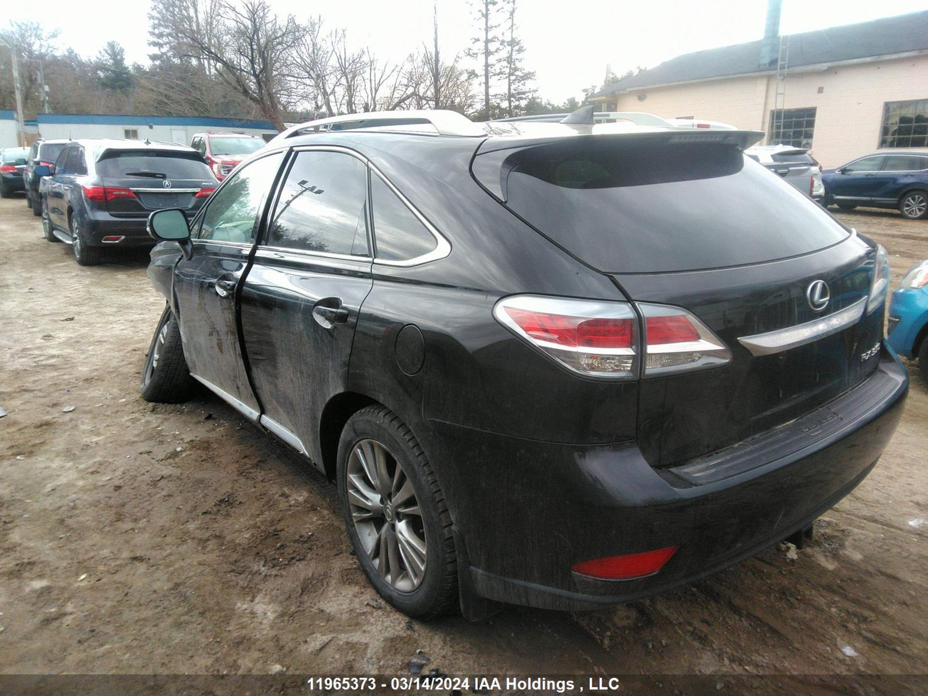 Photo 2 VIN: 2T2BK1BA1EC240312 - LEXUS RX 