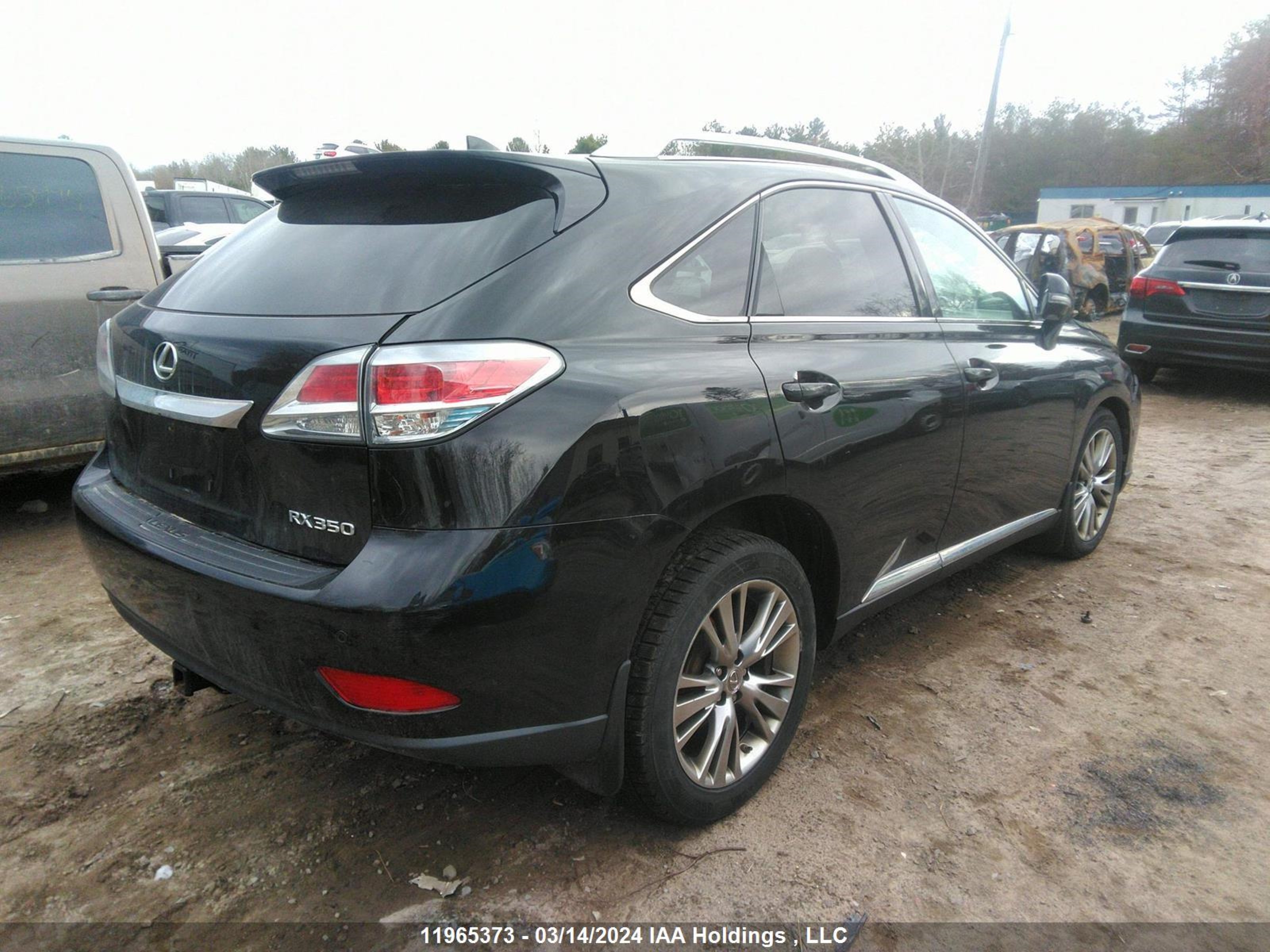 Photo 3 VIN: 2T2BK1BA1EC240312 - LEXUS RX 