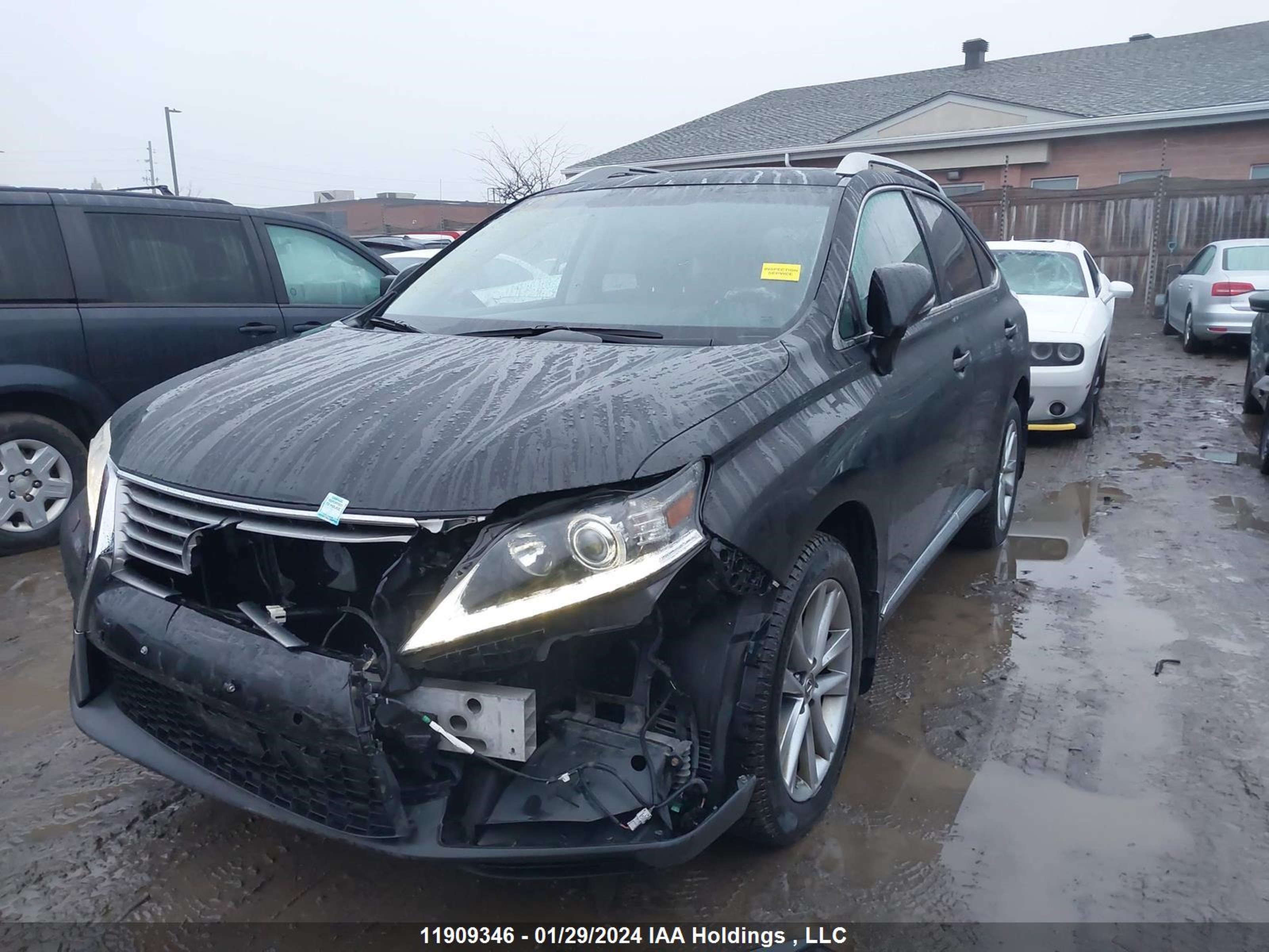 Photo 5 VIN: 2T2BK1BA1FC300509 - LEXUS RX 