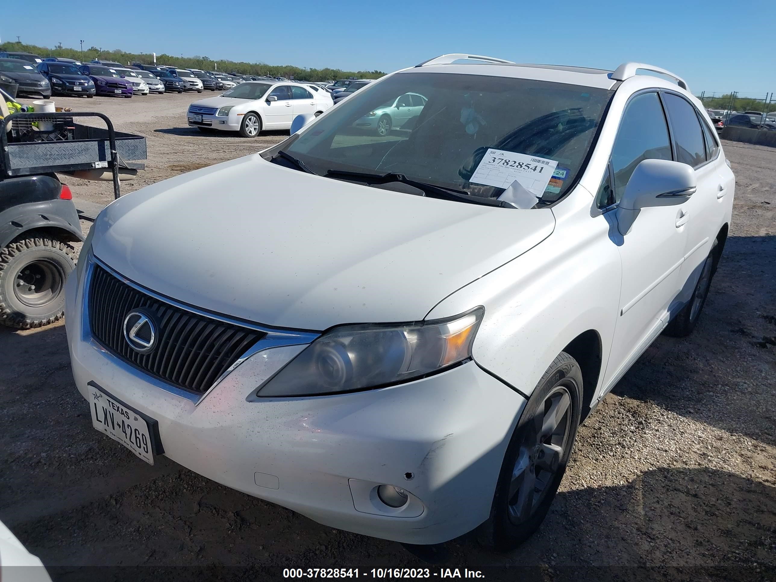 Photo 1 VIN: 2T2BK1BA4AC026764 - LEXUS RX 