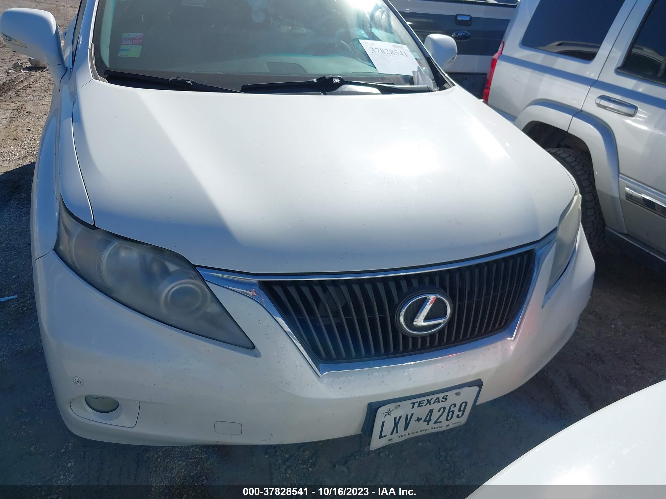 Photo 11 VIN: 2T2BK1BA4AC026764 - LEXUS RX 