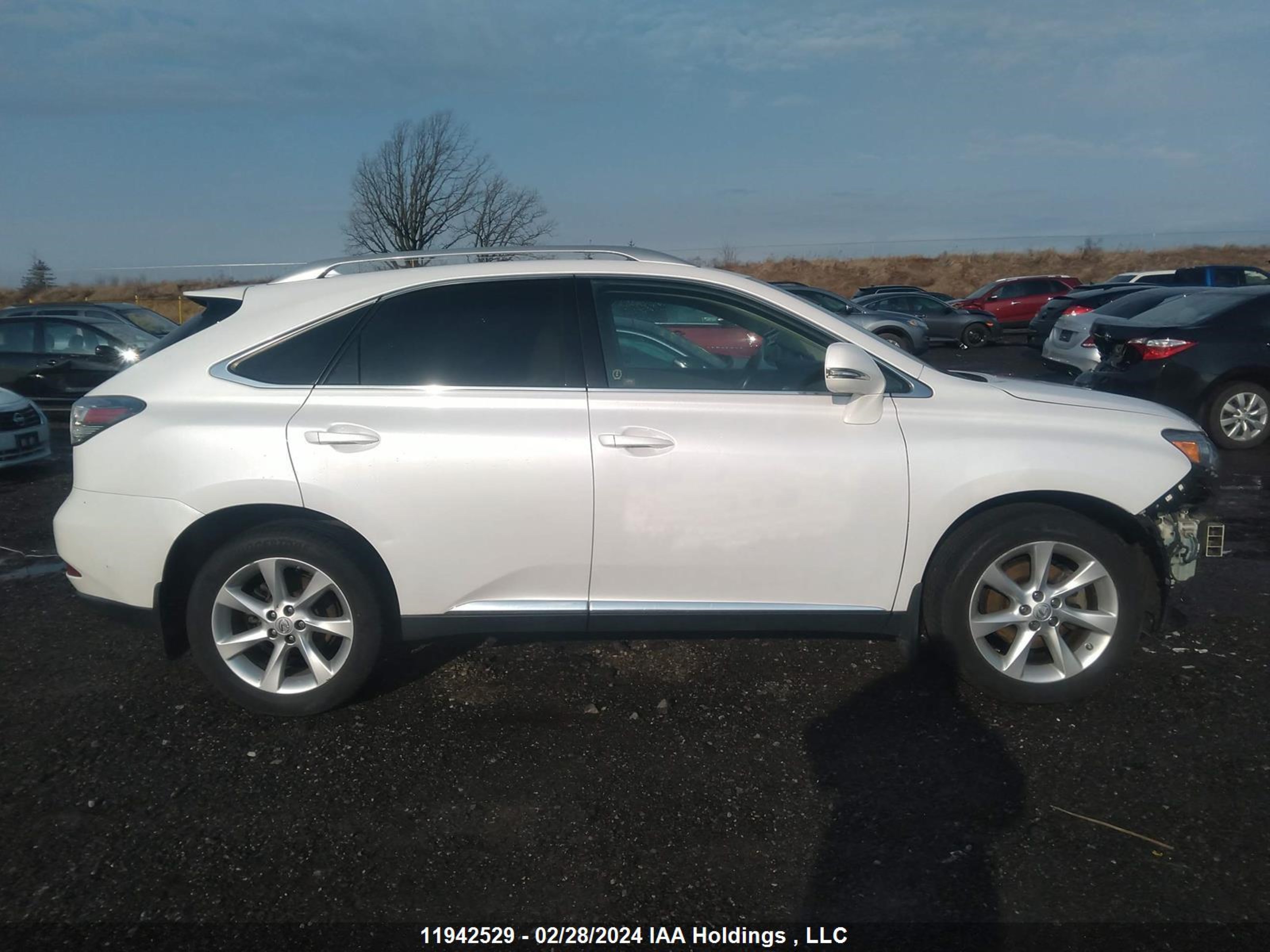 Photo 13 VIN: 2T2BK1BA4AC053060 - LEXUS RX 