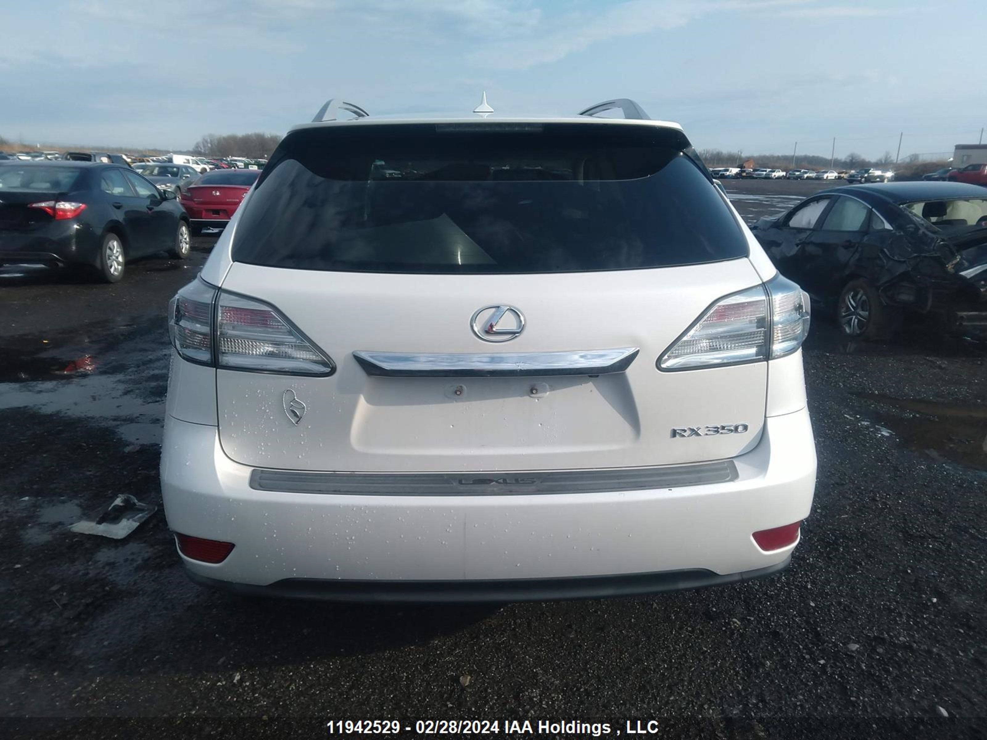 Photo 16 VIN: 2T2BK1BA4AC053060 - LEXUS RX 