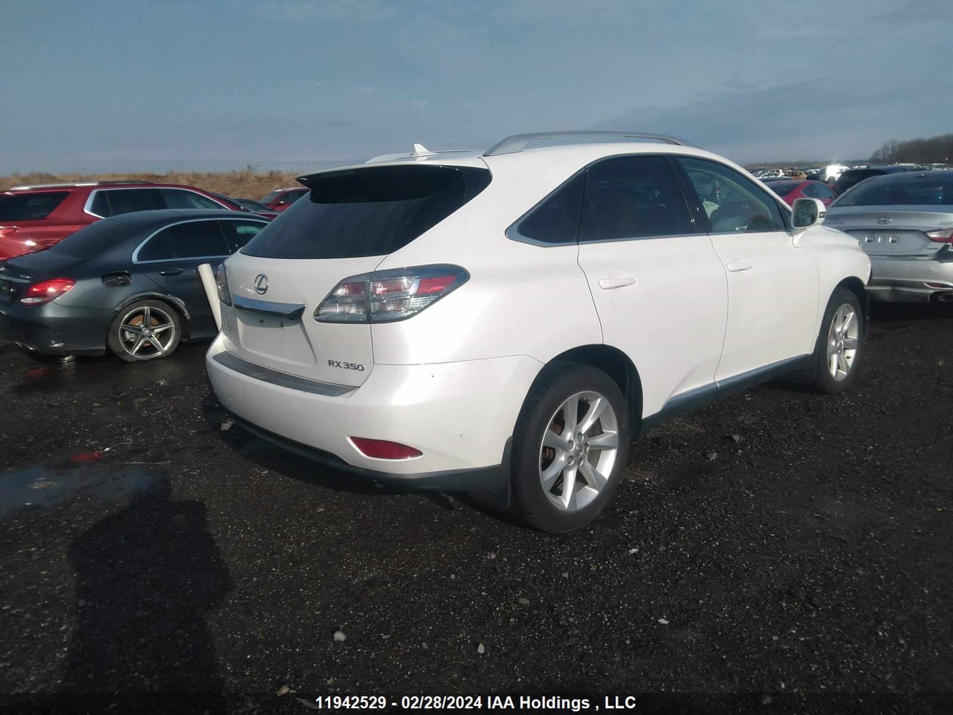 Photo 3 VIN: 2T2BK1BA4AC053060 - LEXUS RX 