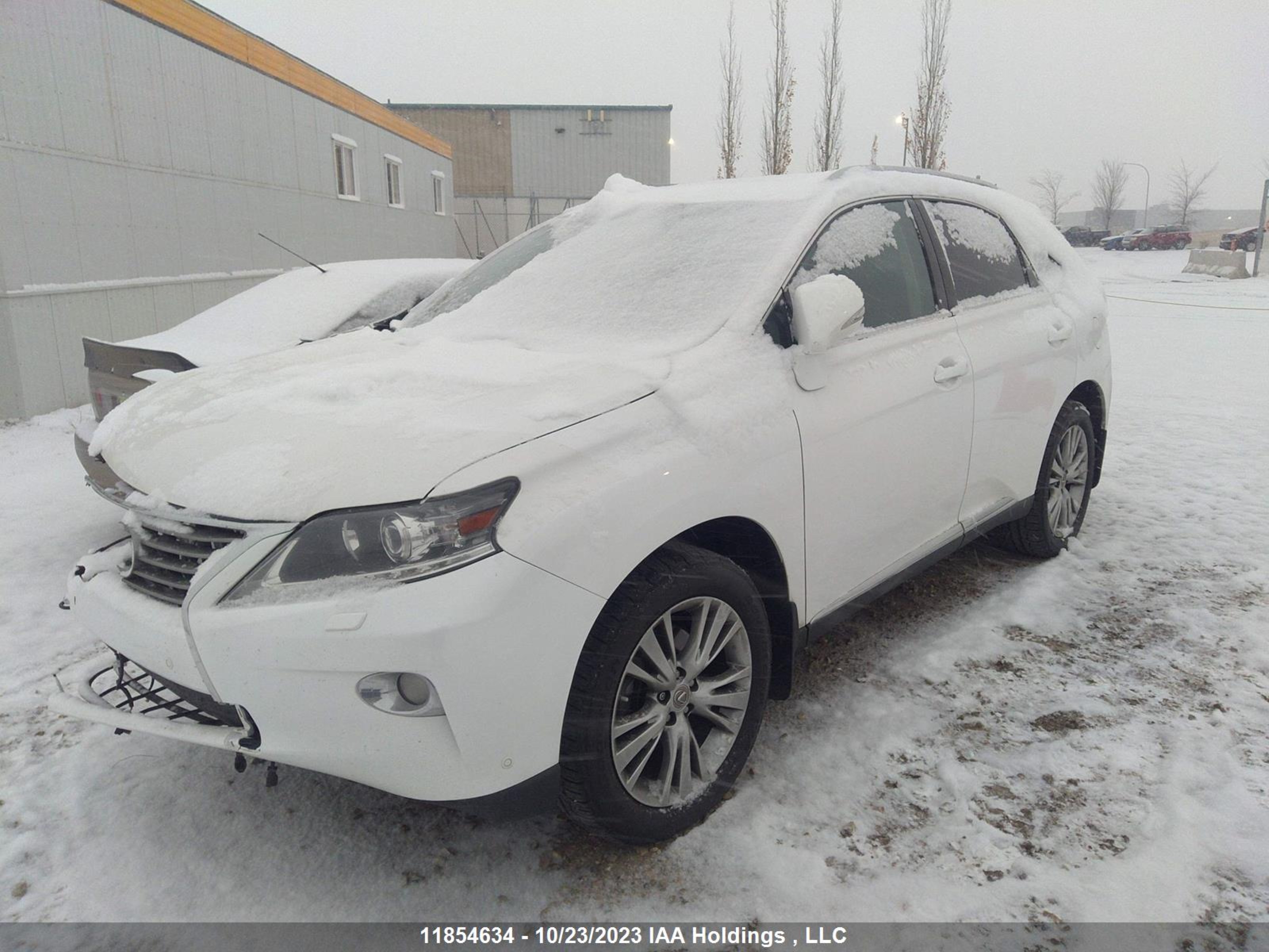 Photo 1 VIN: 2T2BK1BA4DC165491 - LEXUS RX 