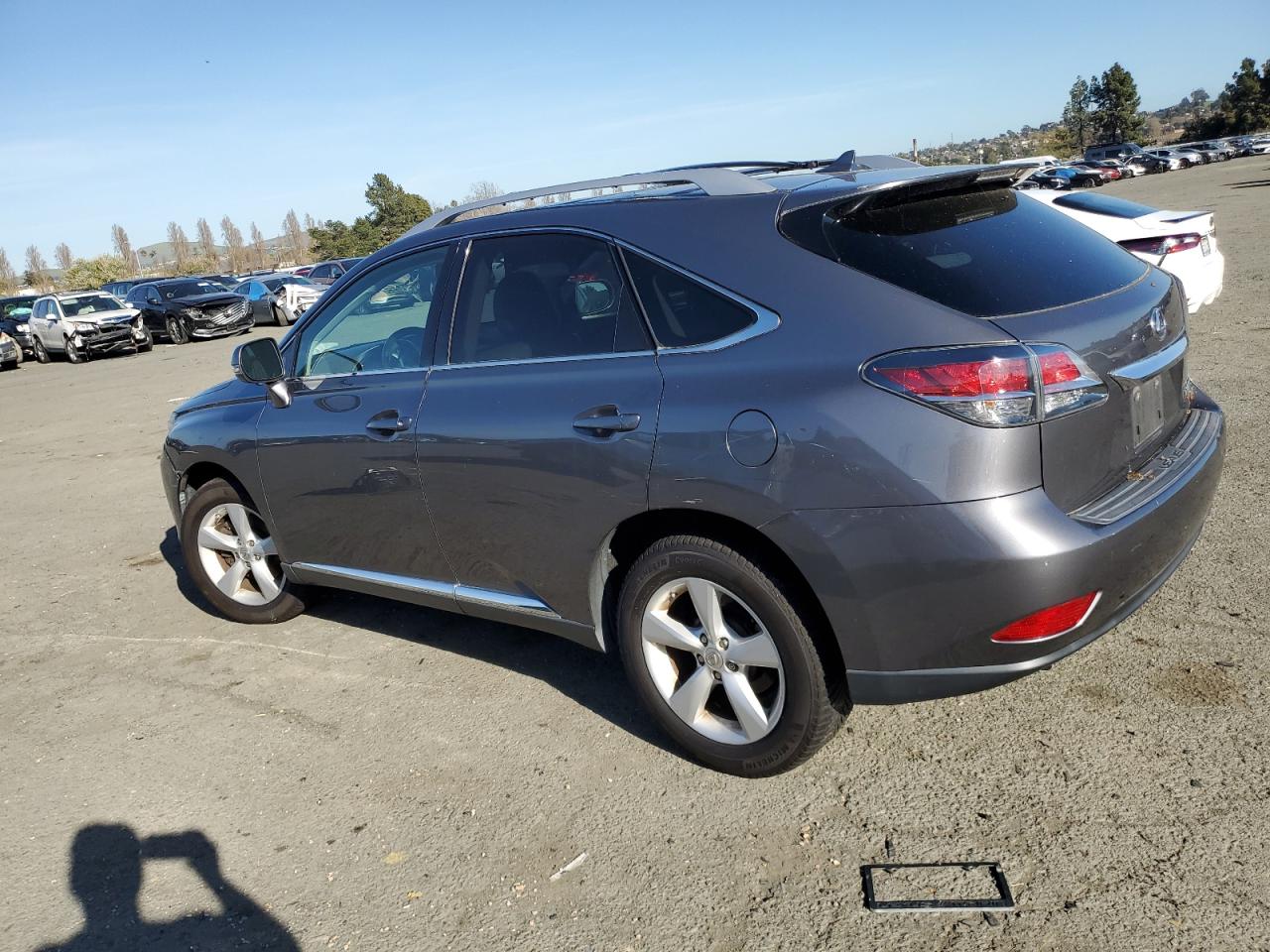 Photo 1 VIN: 2T2BK1BA5DC159781 - LEXUS RX 