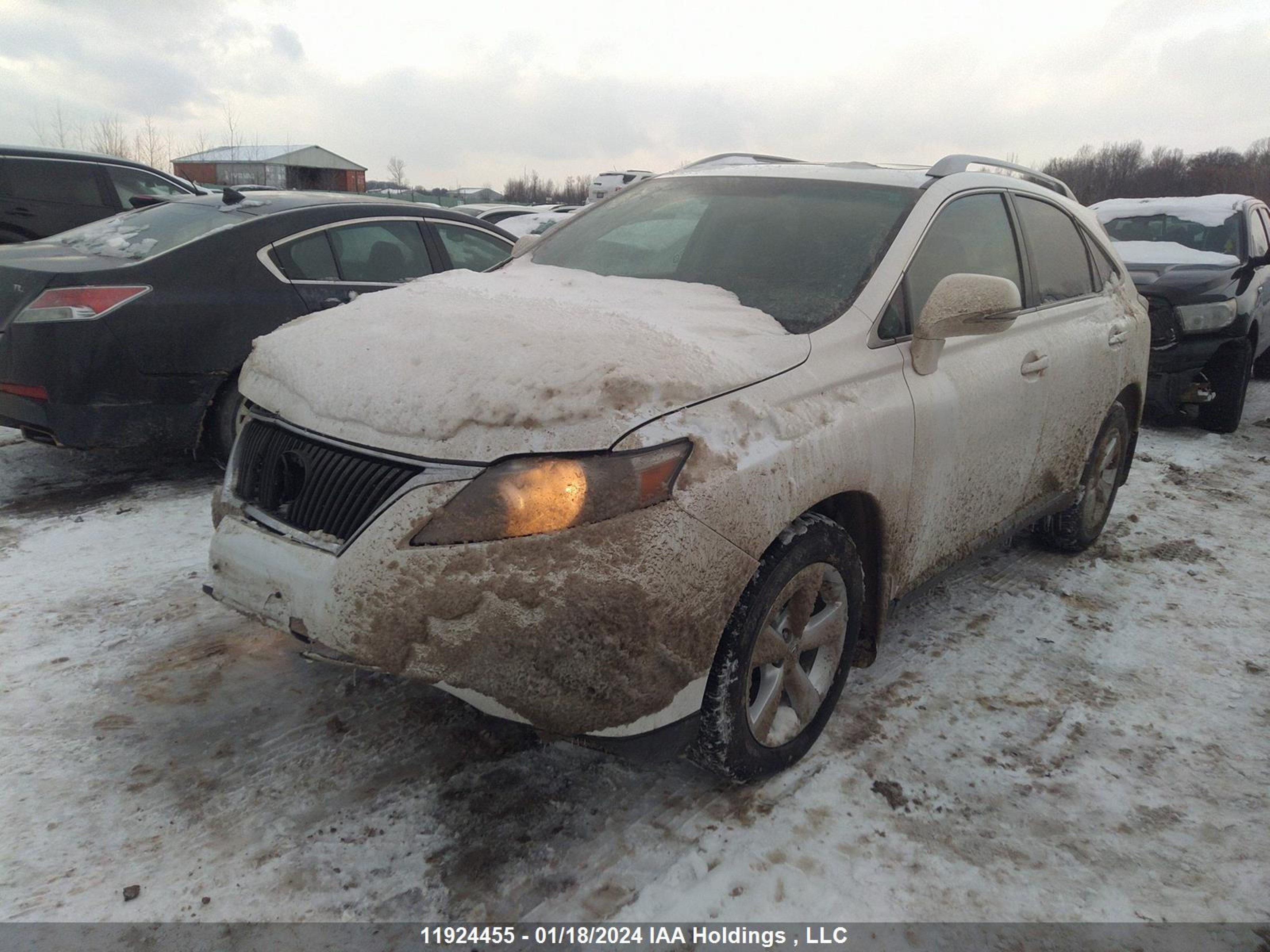 Photo 1 VIN: 2T2BK1BA6BC090774 - LEXUS RX 