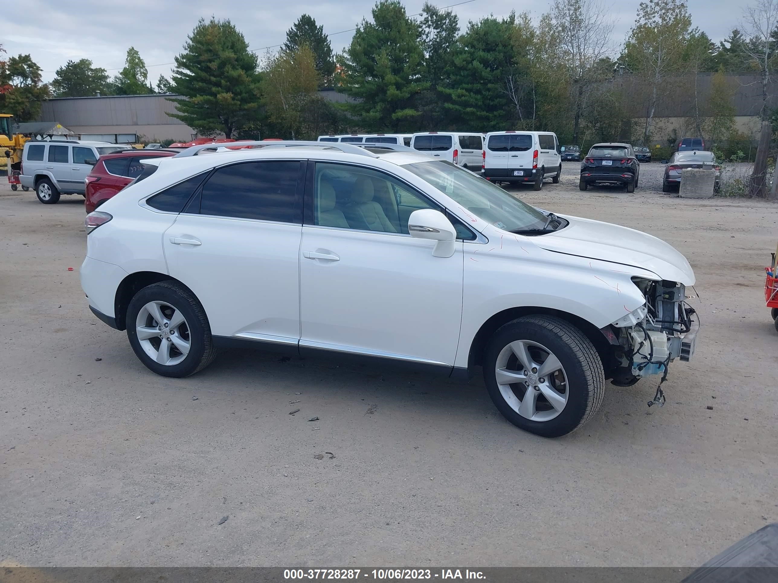 Photo 0 VIN: 2T2BK1BA6DC174712 - LEXUS RX 