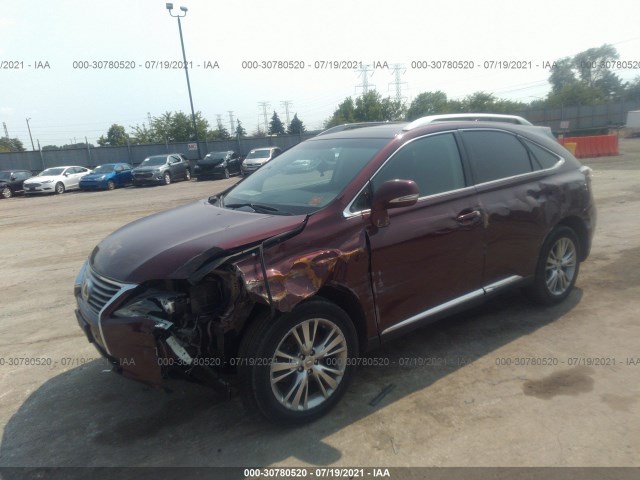 Photo 1 VIN: 2T2BK1BA6EC230343 - LEXUS RX 350 