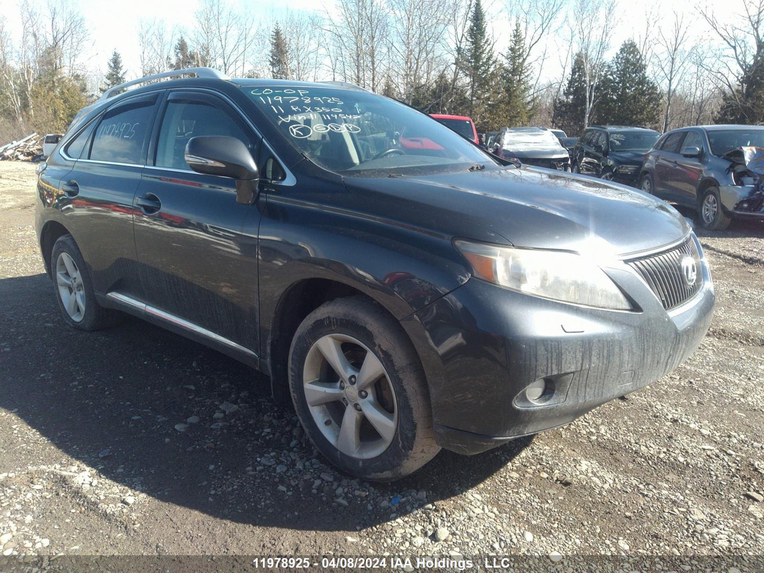 Photo 0 VIN: 2T2BK1BAXBC119547 - LEXUS RX 