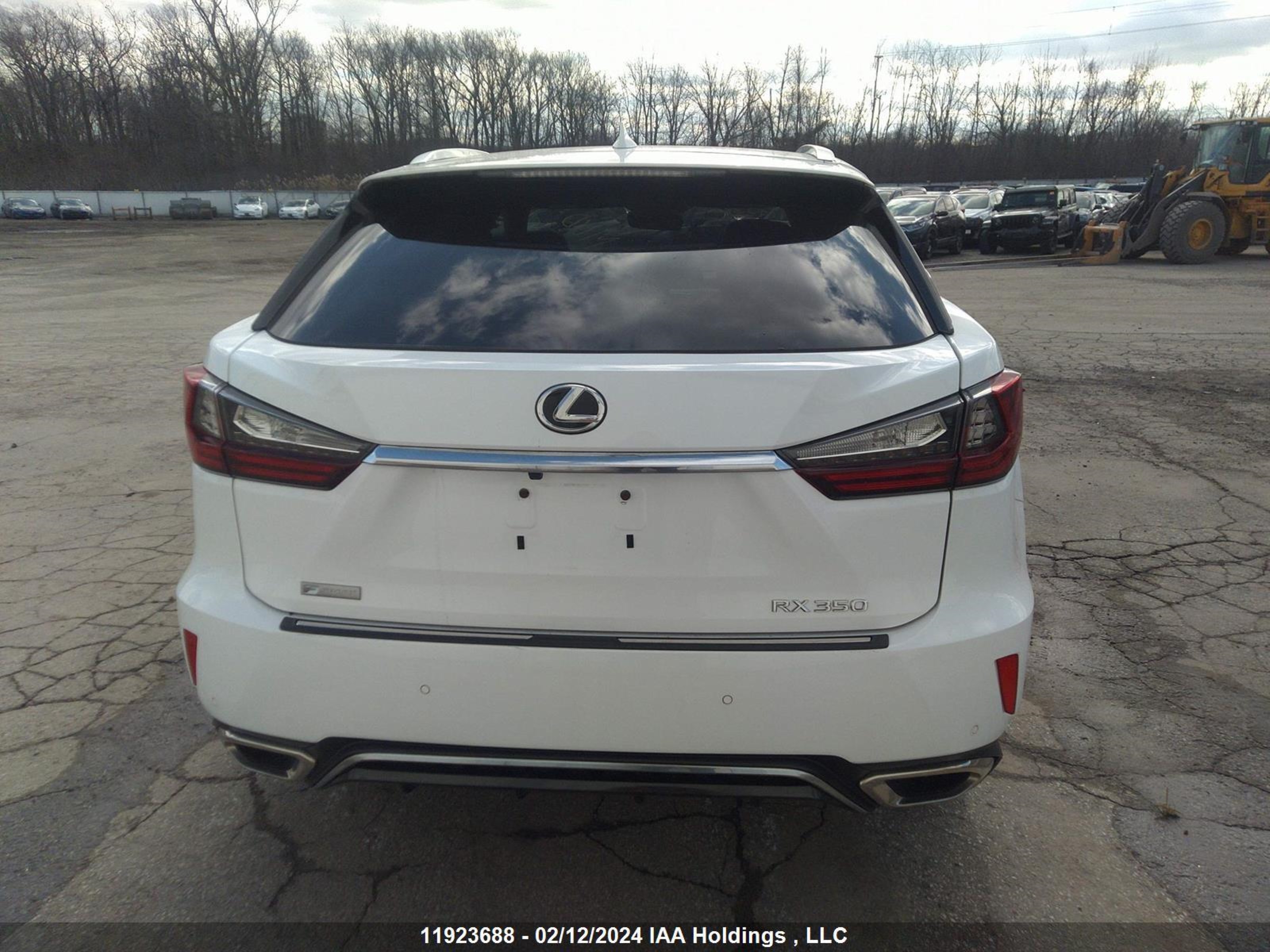 Photo 15 VIN: 2T2BZMCA1HC098561 - LEXUS RX 