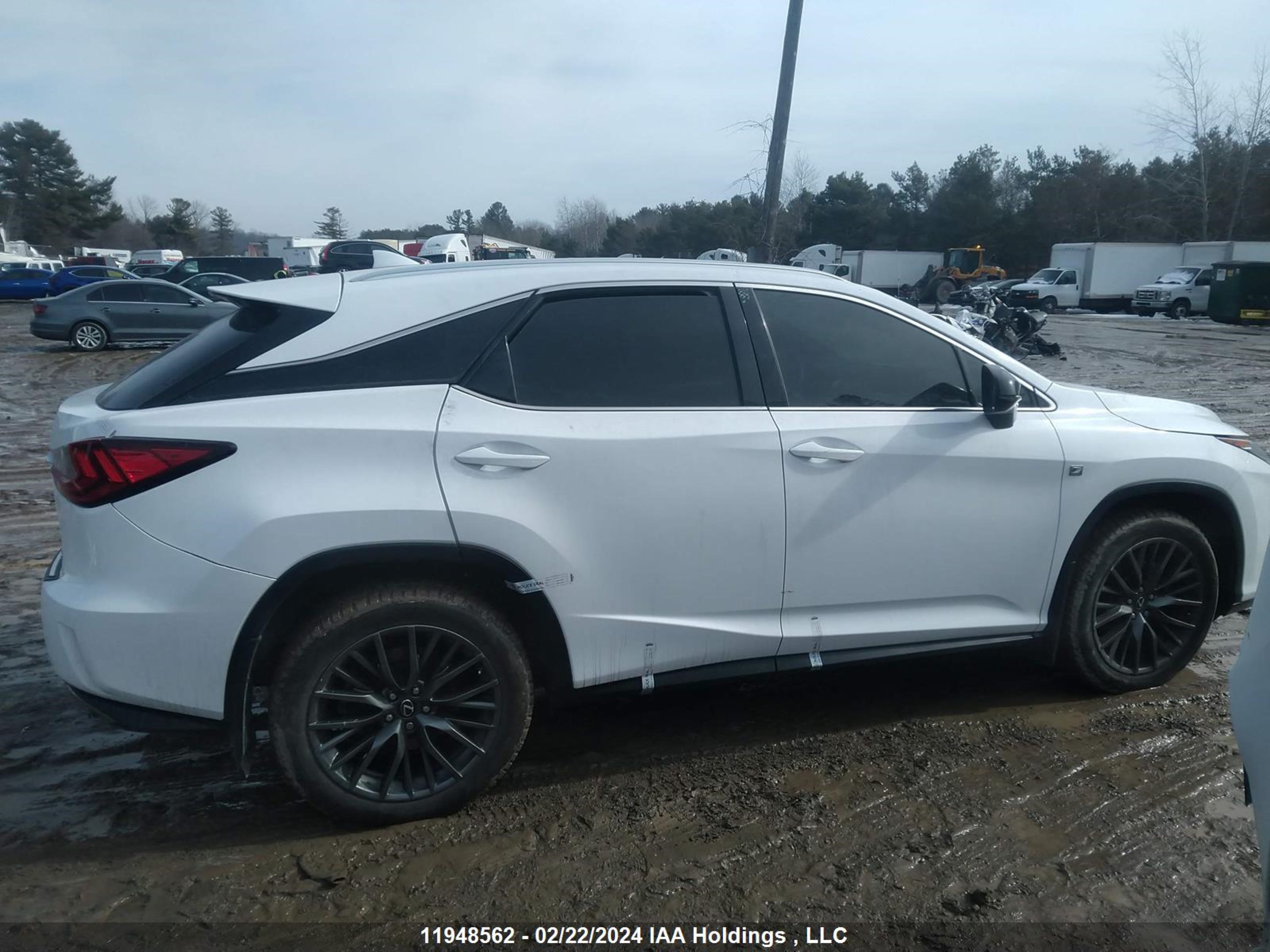 Photo 13 VIN: 2T2BZMCA2HC089626 - LEXUS RX 