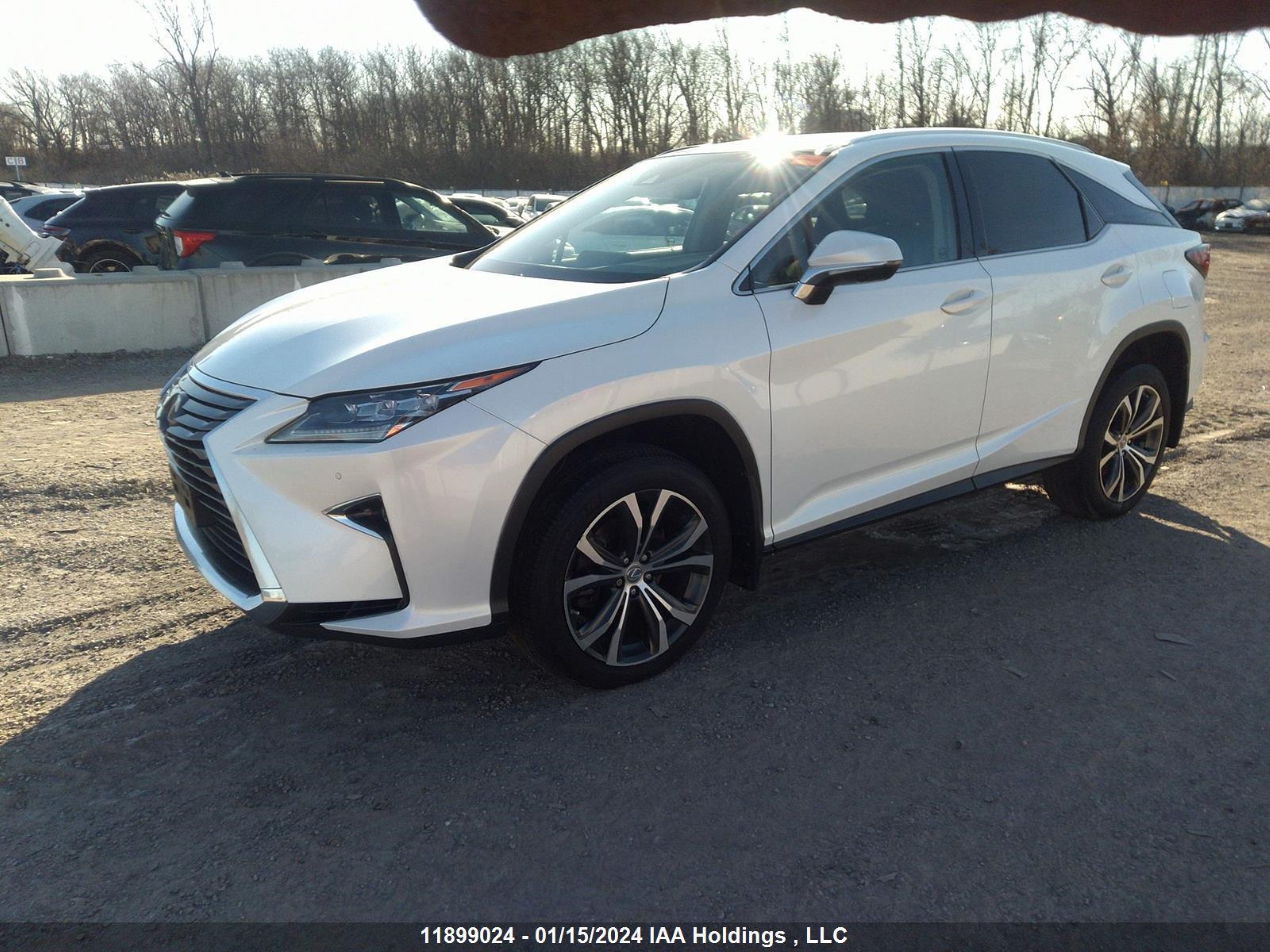 Photo 1 VIN: 2T2BZMCA6GC042551 - LEXUS RX 