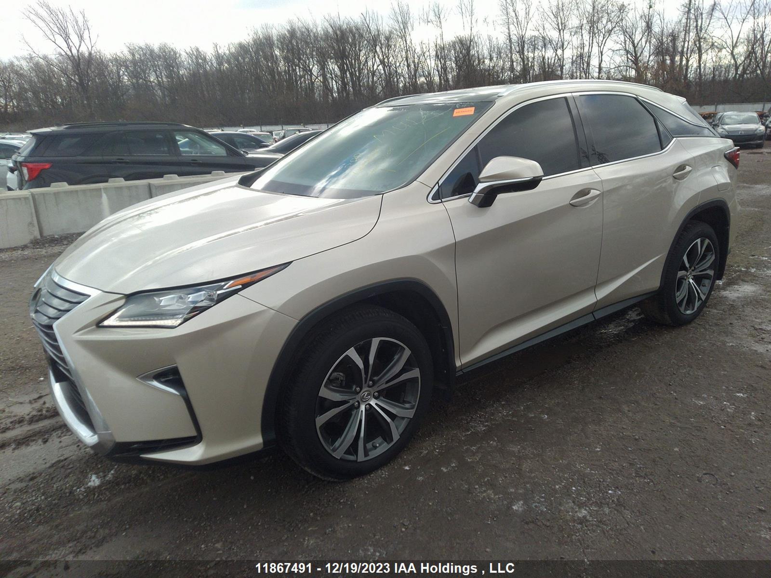 Photo 1 VIN: 2T2BZMCA8HC123116 - LEXUS RX 