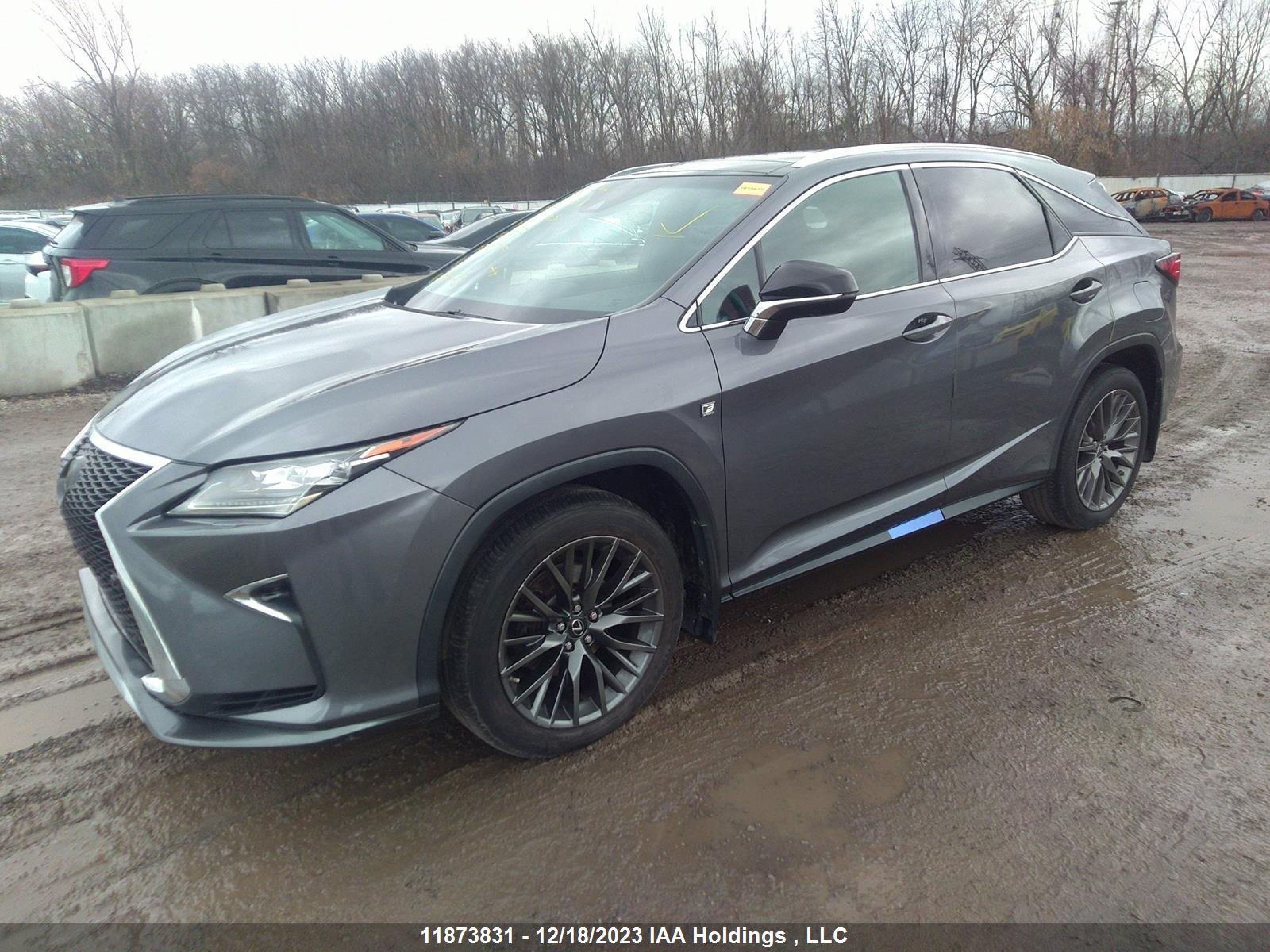 Photo 1 VIN: 2T2BZMCAXGC001646 - LEXUS RX 