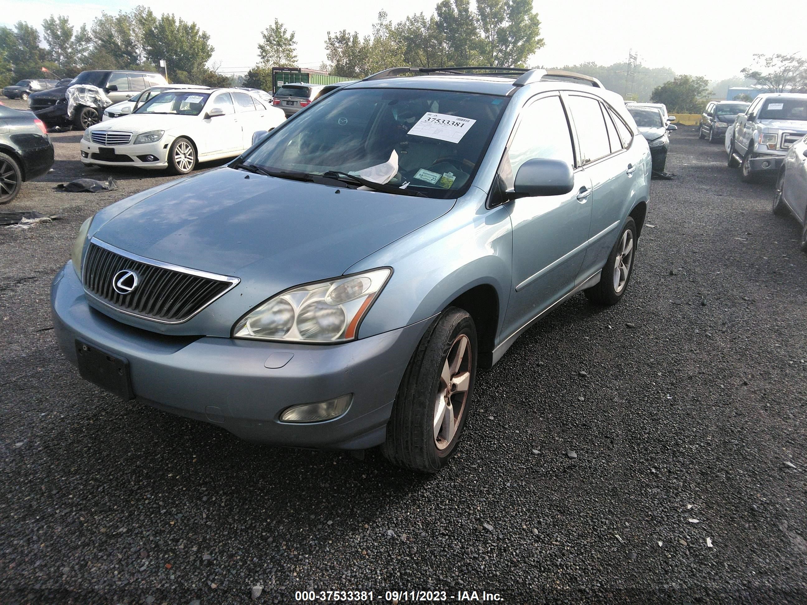 Photo 1 VIN: 2T2GA31U16C046509 - LEXUS RX 