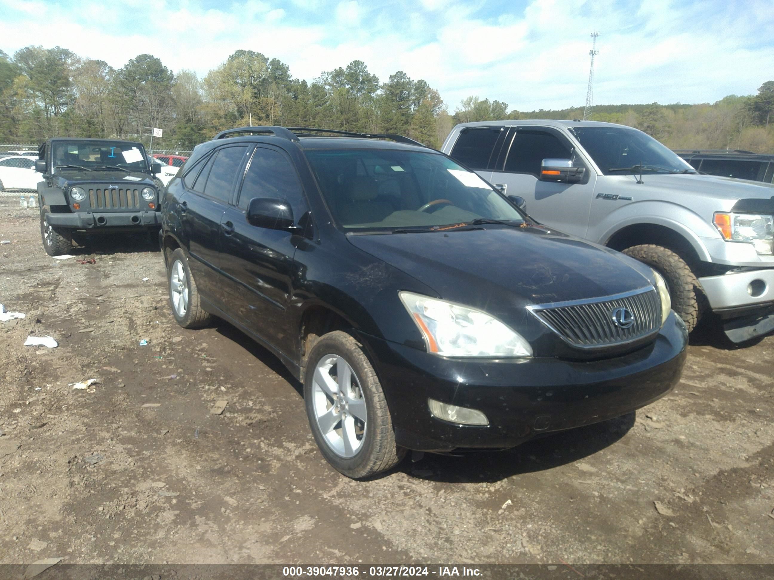 Photo 13 VIN: 2T2GA31U36C051680 - LEXUS RX 