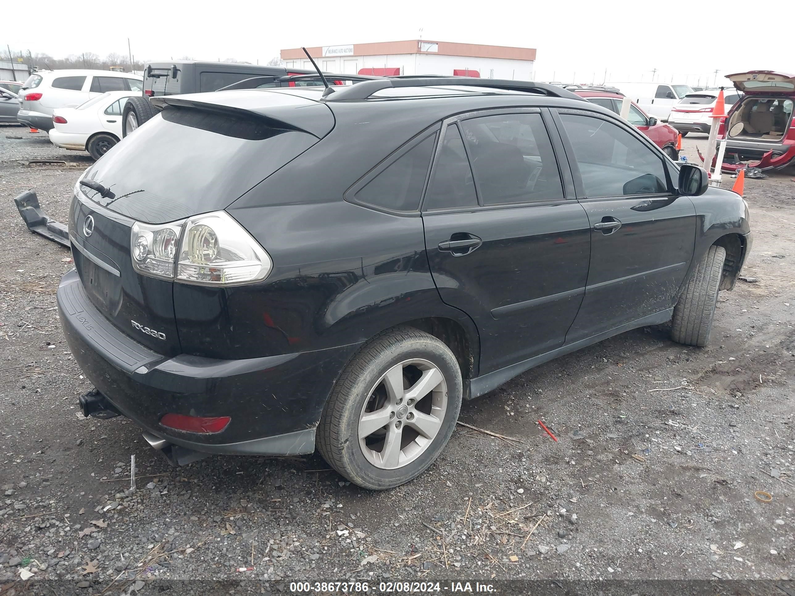 Photo 3 VIN: 2T2GA31U55C020252 - LEXUS RX 