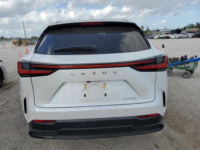 Photo 5 VIN: 2T2GDCAZ0NC001806 - LEXUS NX 