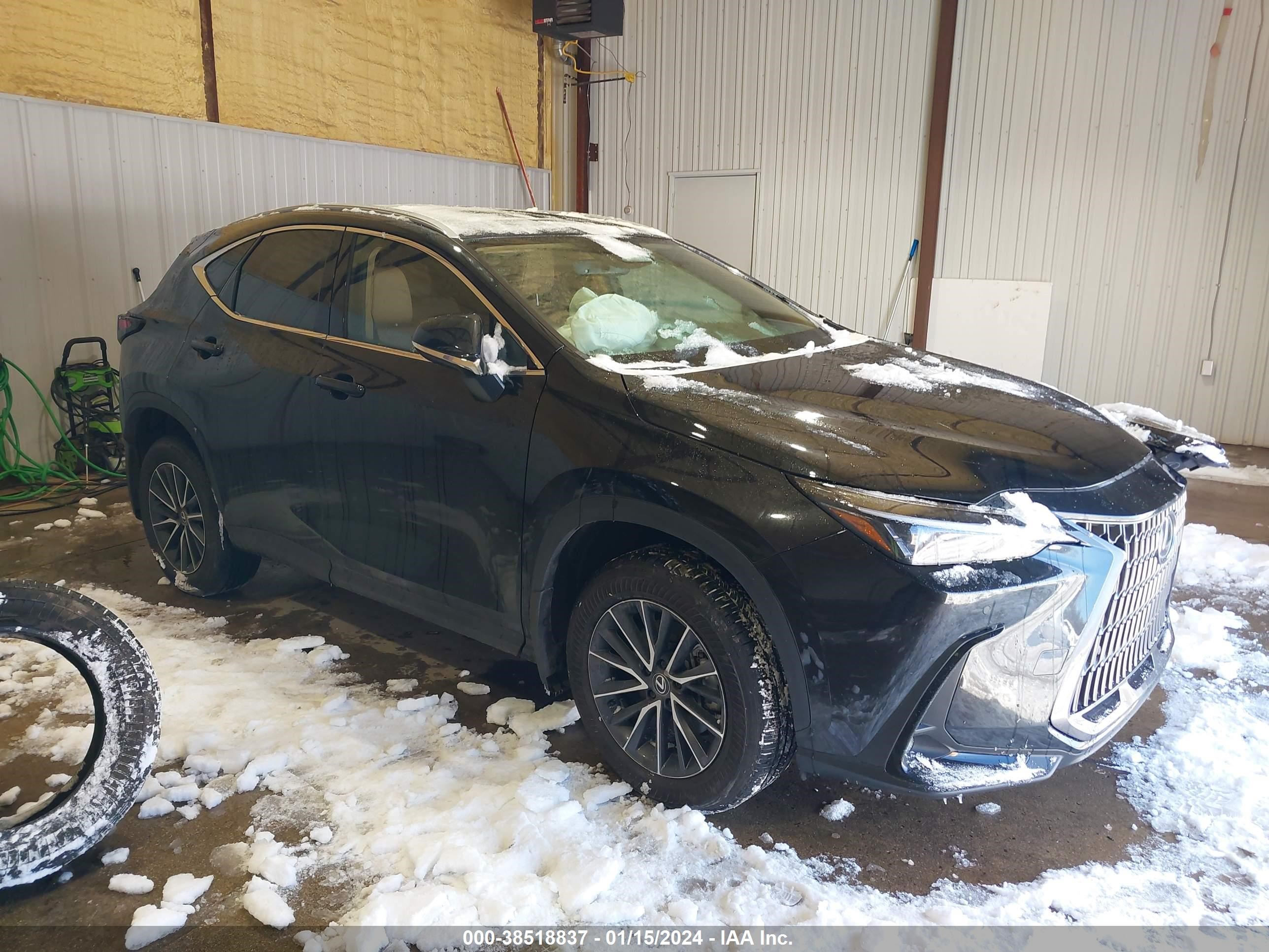 Photo 0 VIN: 2T2GDCAZ0RC006039 - LEXUS NX 