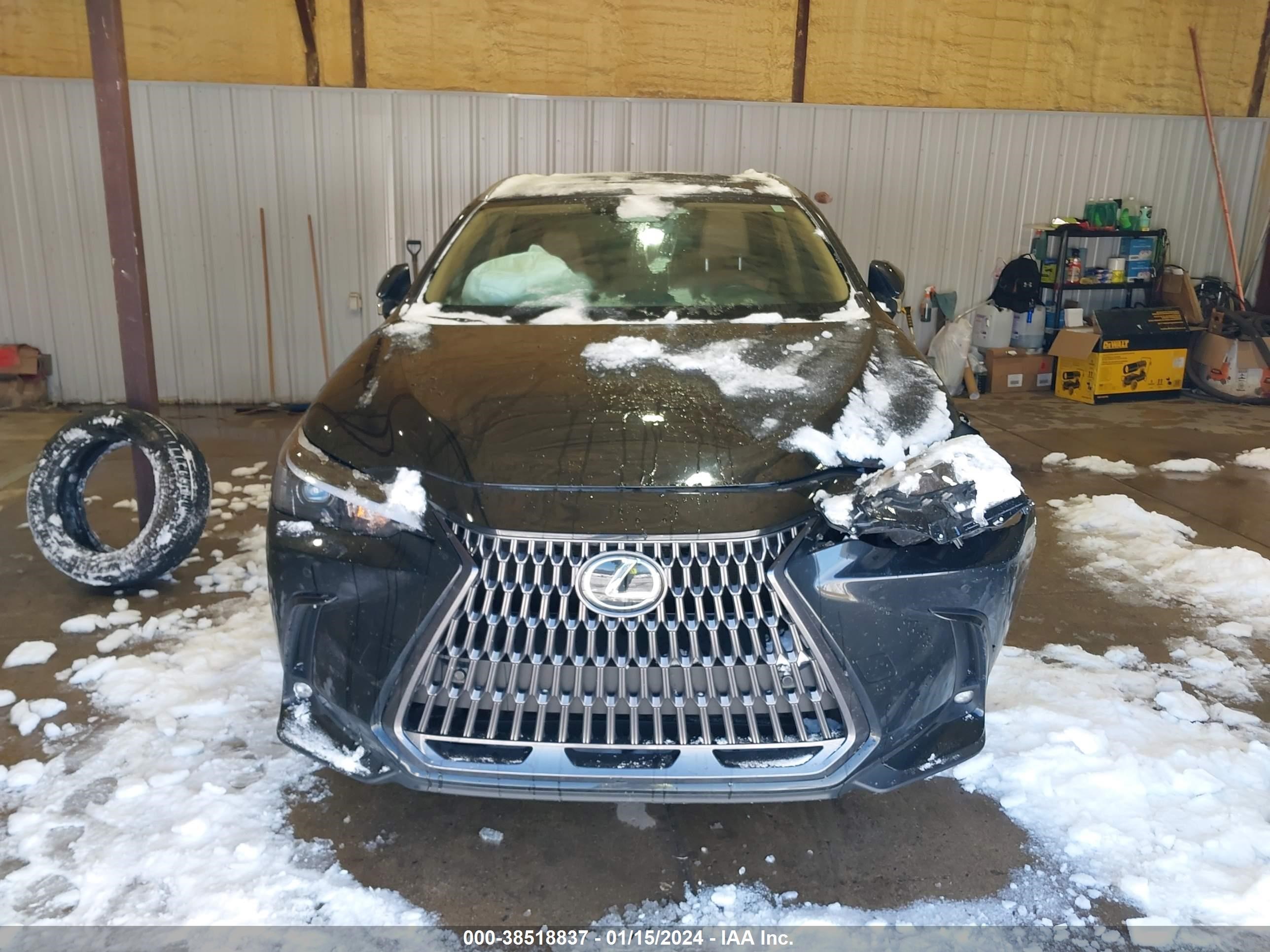 Photo 11 VIN: 2T2GDCAZ0RC006039 - LEXUS NX 