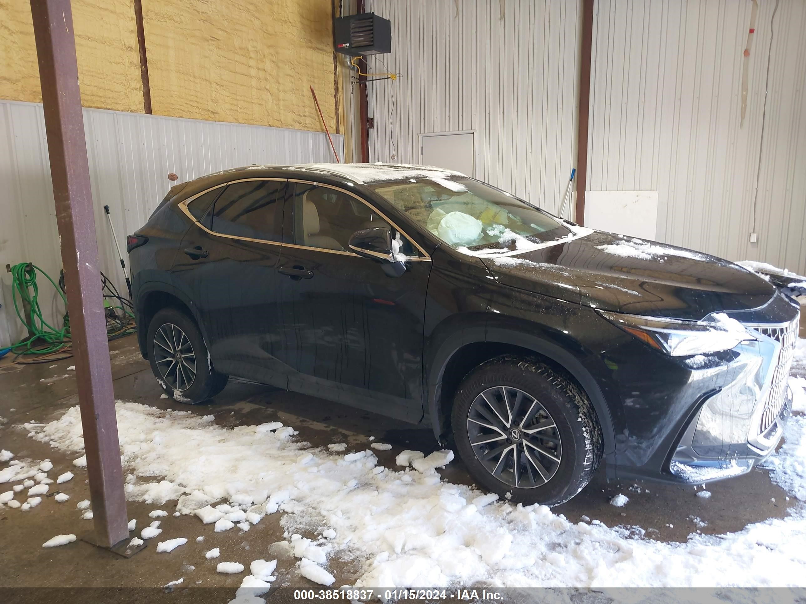 Photo 12 VIN: 2T2GDCAZ0RC006039 - LEXUS NX 