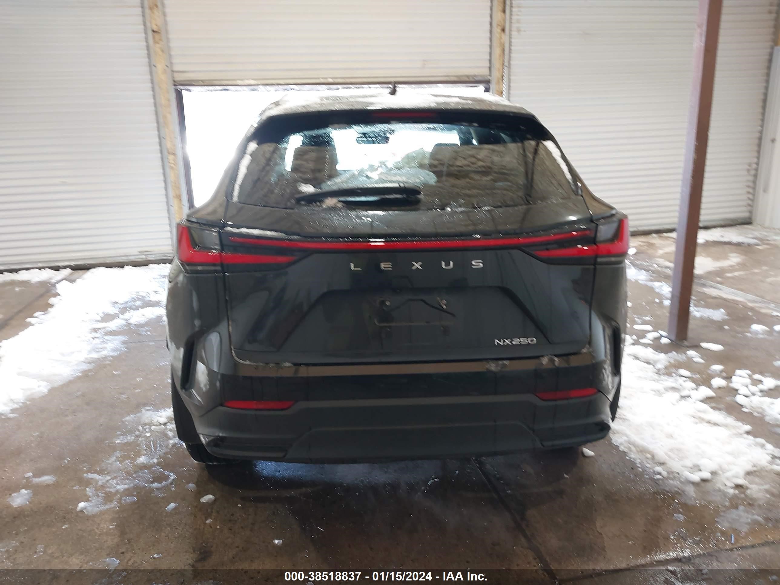 Photo 15 VIN: 2T2GDCAZ0RC006039 - LEXUS NX 