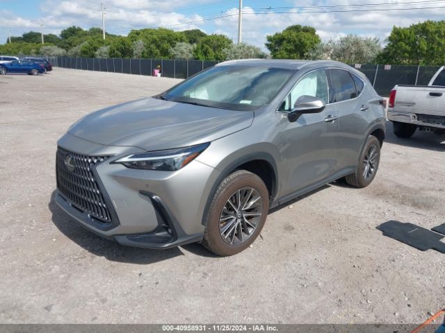 Photo 1 VIN: 2T2GDCAZ7RC007902 - LEXUS NX 