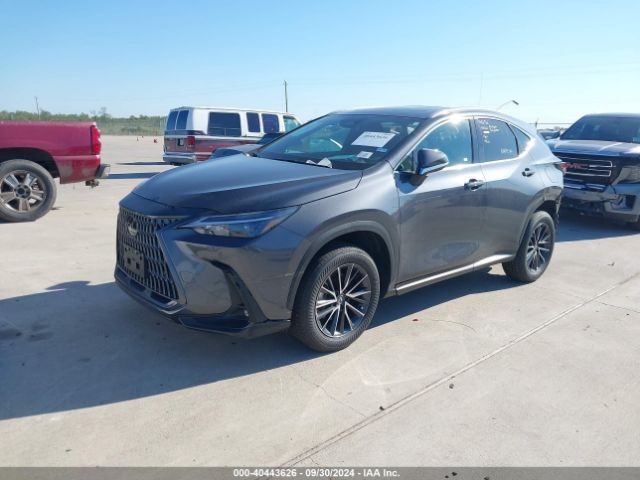 Photo 1 VIN: 2T2GDCAZ8RC013529 - LEXUS NX 