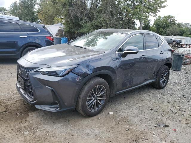 Photo 0 VIN: 2T2GDCAZ9NC002873 - LEXUS NX 250 