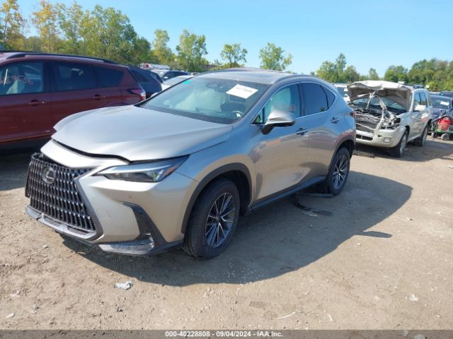 Photo 1 VIN: 2T2GGCEZ0RC053377 - LEXUS NX 