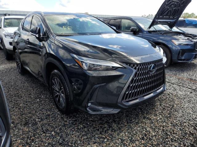 Photo 3 VIN: 2T2GGCEZ0RC054321 - LEXUS NX 350 PRE 