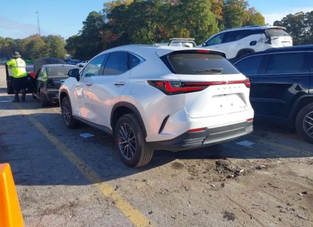 Photo 2 VIN: 2T2GGCEZ2NC011996 - LEXUS NX 