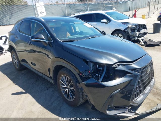 Photo 0 VIN: 2T2GGCEZ2PC023813 - LEXUS NX 