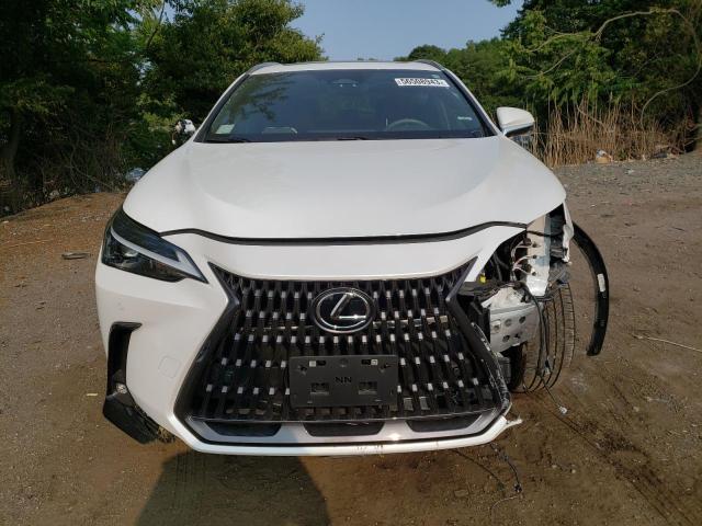 Photo 4 VIN: 2T2GGCEZ3NC002059 - LEXUS NX 