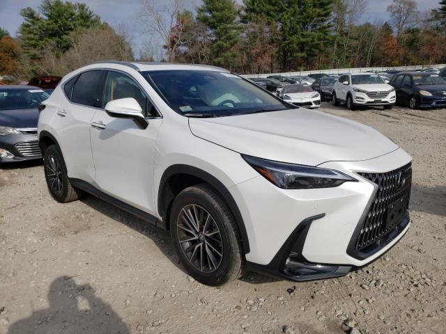 Photo 3 VIN: 2T2GGCEZ3RC045340 - LEXUS NX 350 PRE 