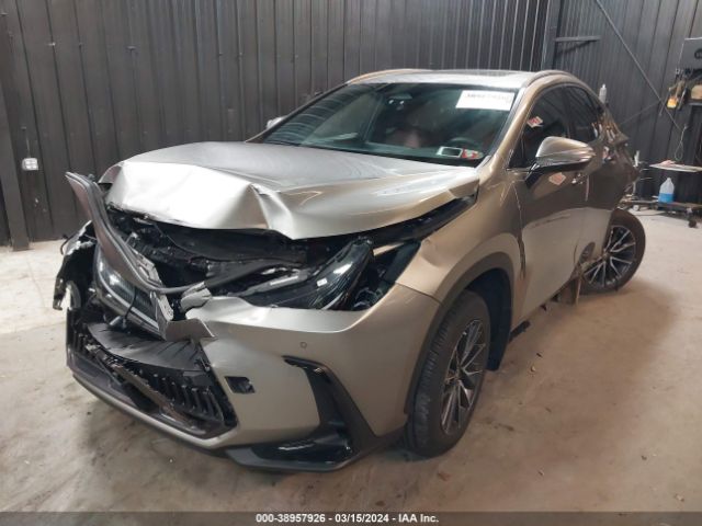 Photo 1 VIN: 2T2GGCEZ4NC004368 - LEXUS NX 350 